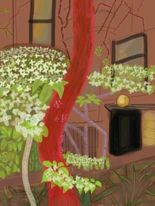 Cornouiller fleuri, 2015 (dessiné à la main sur un iPad avec un crayon Apple)