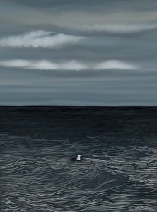 Mouette flottant sur l