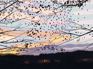 Hawk On Branch, prospect park (art numérique) - Evan Sklar