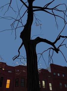 Maisons et arbre la nuit, Brooklyn. (art numérique) - Evan Sklar