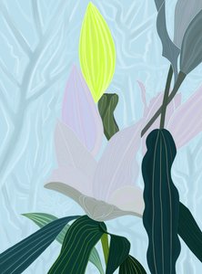 Lily (art numérique) - Evan Sklar