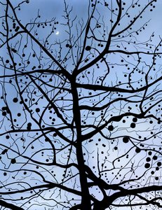 London PlaneTree and Moon, Brooklyn (art numérique) - Evan Sklar