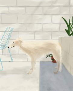 Penny On The Back Porch 2017 (dessiné à la main sur un iPad avec un crayon Apple)