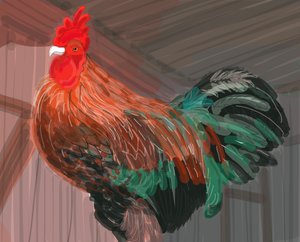 Rooster In Barn, 2018 (dessiné à la main sur un iPad avec un crayon Apple)