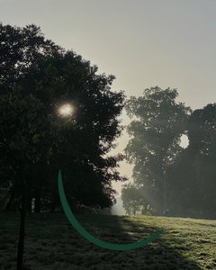 Lever de soleil souriant, c.2020-24 (art numérique) - Evan Sklar