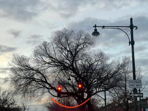 Arbre souriant et feux de circulation. Brooklyn (art numérique) - Evan Sklar
