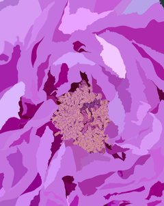 Pivoine arborescente, c.2020-24 (art numérique)