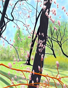 Arbre à tulipes