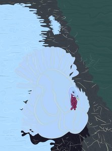 Dinde blanche dans la neige à la ferme. (art numérique) - Evan Sklar