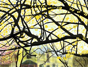 Arbre à fleurs jaunes, Brooklyn (art numérique)