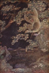 La méduse et le singe, illustration de 