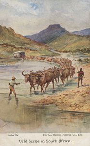 Fermiers conduisant du bétail, Afrique du Sud (lithographie en couleur) - Evelyn Stuart Hardy