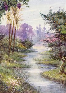  - Evelyn Stuart Hardy