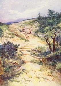  - Evelyn Stuart Hardy