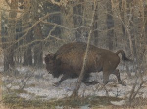 Le bison des bois - Evgeny Alexandrovich Tichmenev