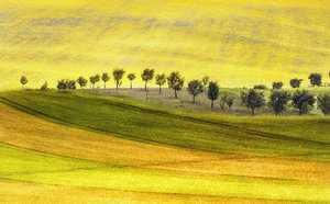  - Ewa Całkosińska-Kajzer