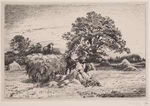 Paysage d