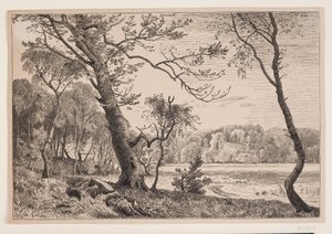 Le bosquet de Silkeborg vers le banc de la Dame - F. Hendriksen