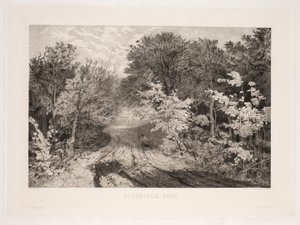 Forêt de Borrevejle - F. Larsen