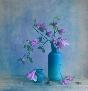  - Fangping Zhou