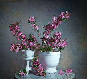  - Fangping Zhou