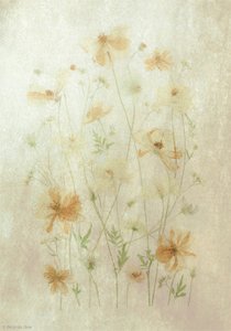  - Fangping Zhou