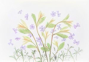  - Fangping Zhou