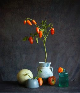 Nature morte rustique aux tomates orange