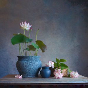 Nature morte au lotus serein