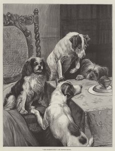 La Toupie - Fannie Moody