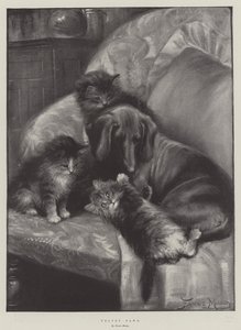Pattes de velours - Fannie Moody
