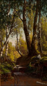 Ruisseau de la forêt