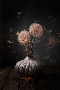 Nature morte éthérée au pissenlit - Farid Kazamil