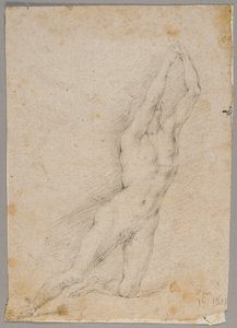 Dessin - Fedele Fischetti