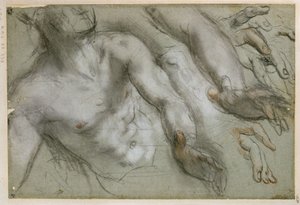 - Federico Barocci