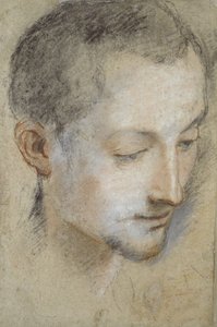 Étude de la tête d