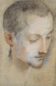 Étude de la tête d