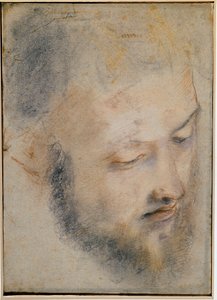 Étude de tête - Dessin de Barocci
