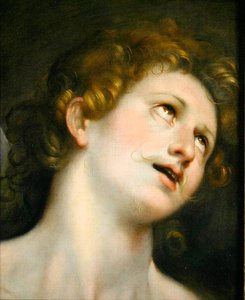 Saint Sébastien - Federico Fiori Barocci or Baroccio