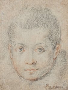  - Federico Zuccaro