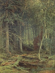 Marais dans la forêt, automne, 1872 - Fedor Aleksandrovich Vasiliev