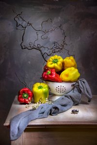  - Felice Angelino
