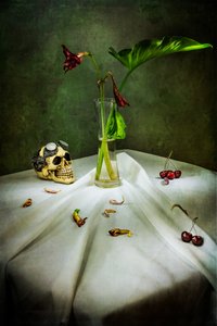 Vanitas au crâne gothique