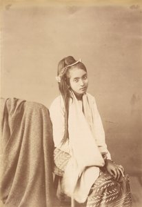 Type birman Silk Sitter - Felice Beato