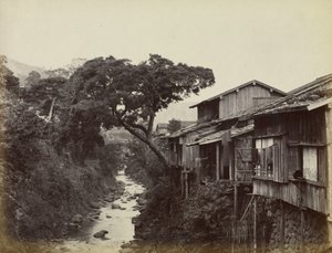 Ville natale de Nagasaki