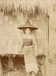 Shan Beauty - Felice Beato