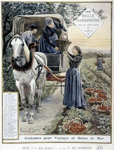 Cueillette des fraises - par Myrbach, calendrier 