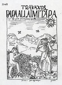 Le Mois de Juin, Récolte des Pommes de Terre - Felipe Huaman Poma de Ayala