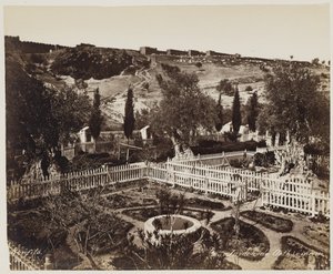 Jardin de Gethsémani n° 303