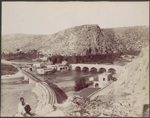 Les ponts des fleurs de cornouiller - Félix Bonfils